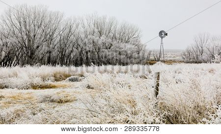 Frosted Grass Sways In The Wind As The Bare Trees Glisten White With The Frozen Air.  A Windmill Sta