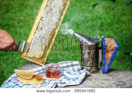Close-up Beekeeper Uncapping Honeycomb With Special Beekeeping Fork. Raw Honey Being Harvested From 