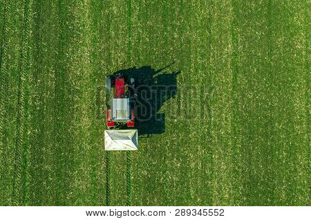 Agricultural Tractor Is Fertilizing Wheat Crop Field With Npk Fertilizers, Aerial View From Drone Po