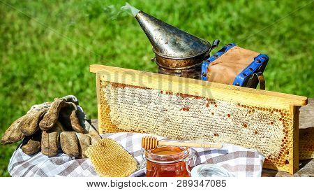 Close-up Beekeeper Uncapping Honeycomb With Special Beekeeping Fork. Raw Honey Being Harvested From 
