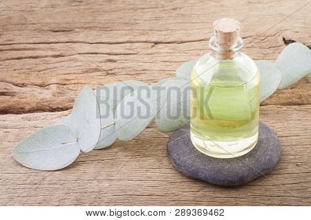Oil And Eucalyptus Leaves On The Wooden Table - Eucalyptus Deglupta