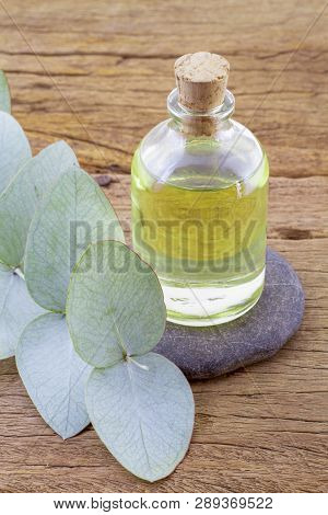 Oil And Eucalyptus Leaves On The Wooden Table - Eucalyptus Deglupta