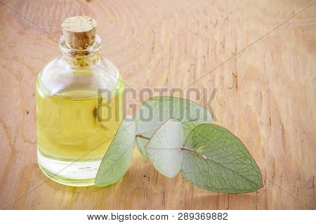 Jar With Oil And Eucalyptus Leaves On Wood