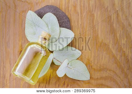 Oil And Eucalyptus Leaves On The Wooden Table - Eucalyptus Deglupta