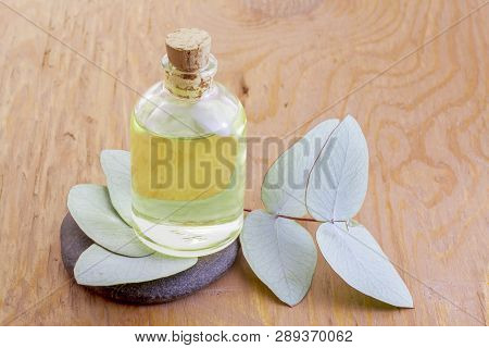 Jar With Oil And Eucalyptus Leaves On Wood