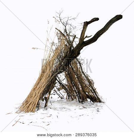 Hut Of The Old Trunk And Cane