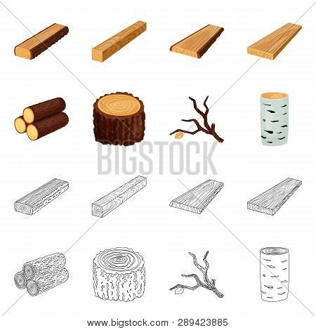 Vector Design Of Tree   And Raw  Icon. Collection Of Tree   And Construction Stock Vector Illustrati