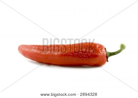 Red Hot Chili Pepper With Water Drops Isolated On White Background