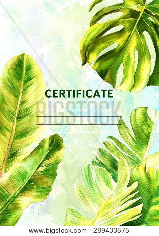 Certificate Design With Watercolor Painted Tropical Leaves. Vertical Format. Illustration. Vertical