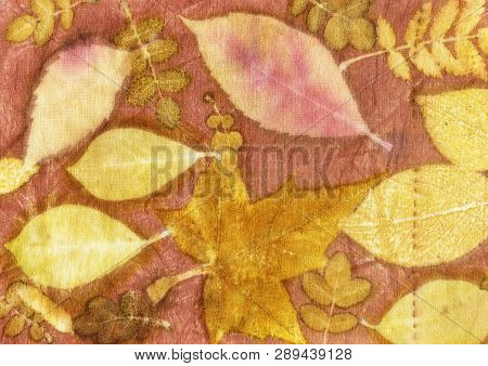 Botanical Print With Leaf Prints On Natural Silk. Hand-drawn Illustration.