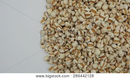 Job's Tears, Also Known As Adlay And Coix On White Background. Popular In Asian Cultures As A Food S