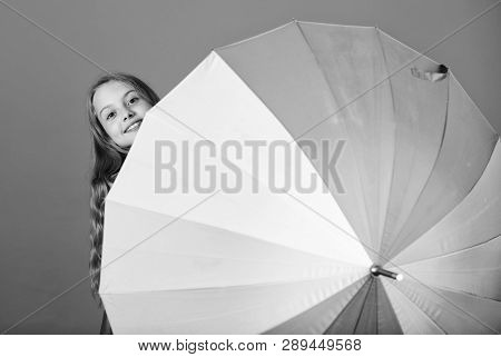 Kid Peek Out Colorful Rainbow Umbrella. Color Your Life. Girl Cheerful Hide Behind Umbrella. Colorfu