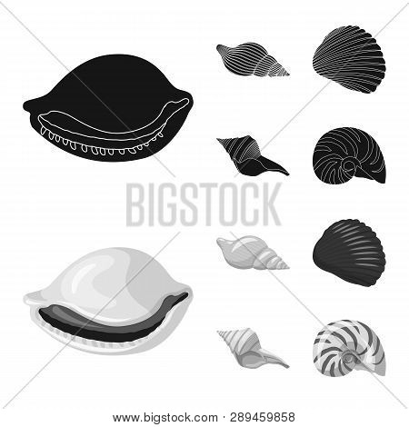 Vector Illustration Of Animal And Decoration Sign. Set Of Animal And Ocean Vector Icon For Stock.