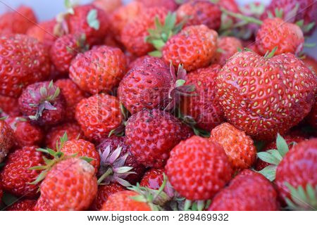 Heap Of Fresh Red Strawberry At Garden Close Up With Green Leaves