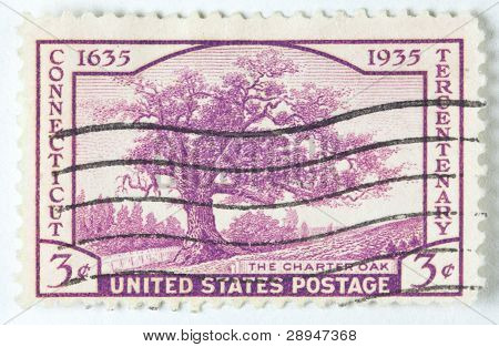 znaczek wydrukowany przez USA pokazuje Connecticut State drzewo dębu białego, ok. 1935.