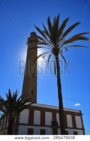 Maspalomas The Sand Dunes On Gran Canaria