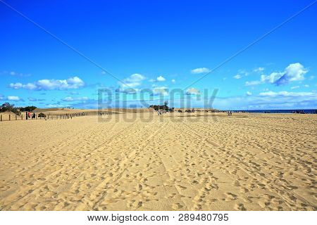 Maspalomas The Sand Dunes On Gran Canaria