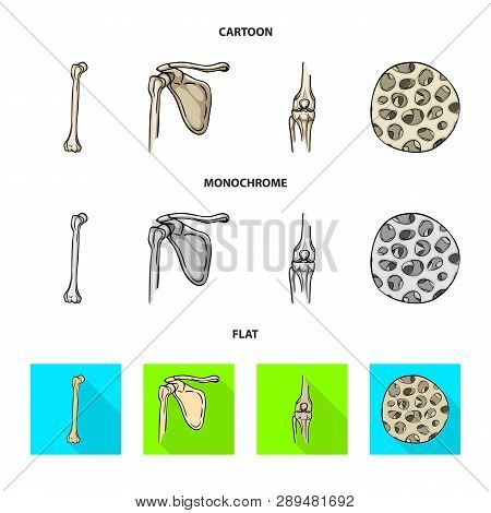 Vector Illustration Of Medicine And Clinic Icon. Set Of Medicine And Medical Vector Icon For Stock.
