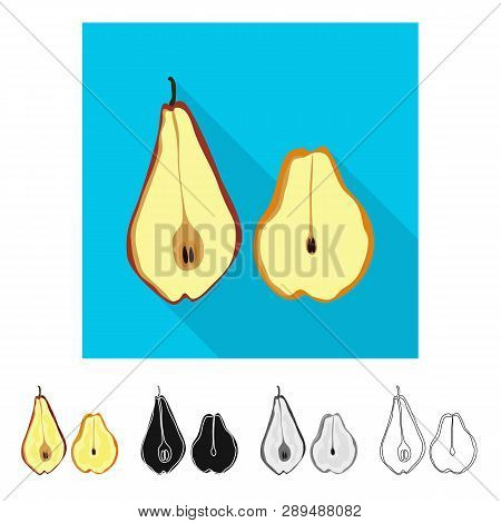Vector Design Of Pear And Dry Icon. Collection Of Pear And Organic Vector Icon For Stock.