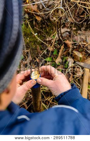A Woman Makes A Fruit Tree In The Garden And Attaches A Young Twig