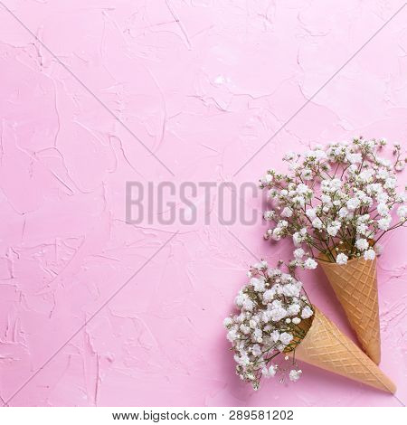 Tender Fresh White Gypsofila  Flowers In Waffle Cones On  Pink Textured Background. Top View. Place 