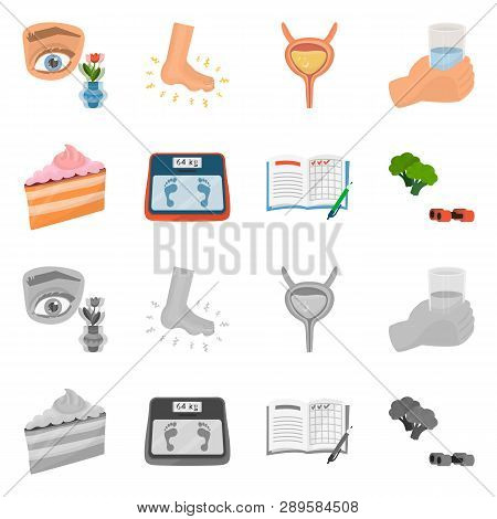 Vector Illustration Of Diet And Treatment  Symbol. Set Of Diet And Medicine Stock Vector Illustratio