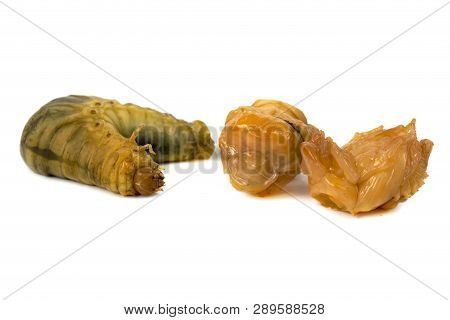 Larva Of Dung Beetle Isolate On White