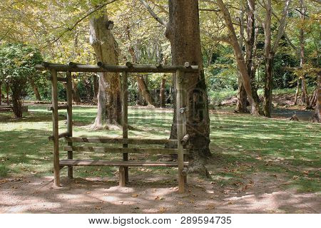 Agios Nikolaos Park Naousa Greece Europe