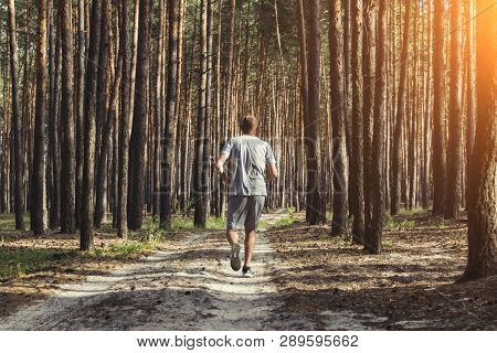Man Has Morning Workout In A Pine Forest. Concept Of Matins Jogging In Outdoor