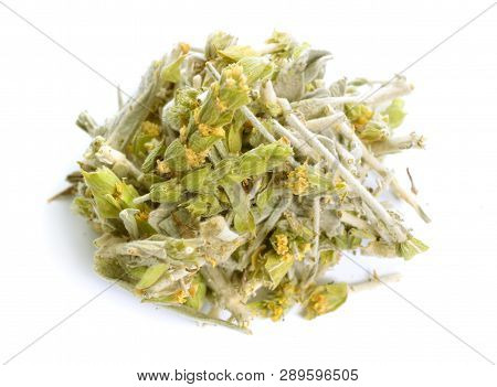 Sideritis, Also Known As Ironwort, Mountain Tea And Shepherds Tea. Isolated On White