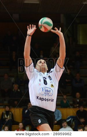 KAPOSVAR, Ungarn - 15 januar: Balint Magyar i aktion på en ungarsk volleyball nationale mestre