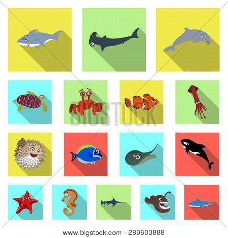 Vector Illustration Of Sea And Animal Sign. Collection Of Sea And Marine Stock Vector Illustration.
