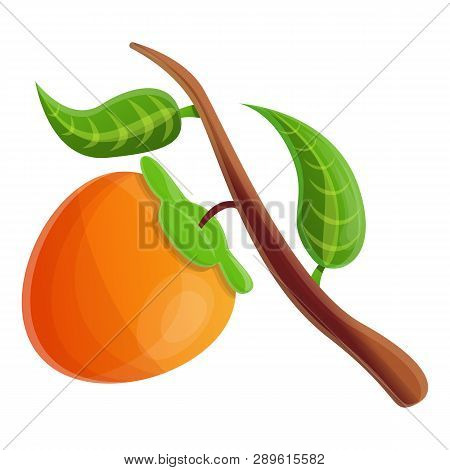 Persimmon On Tree Icon. Cartoon Of Persimmon On Tree Icon For Web Design Isolated On White Backgroun
