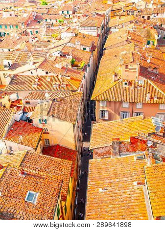 Aerial View Of Typical Red Rooftops And Narrow Streets In Lucca, Tuscany