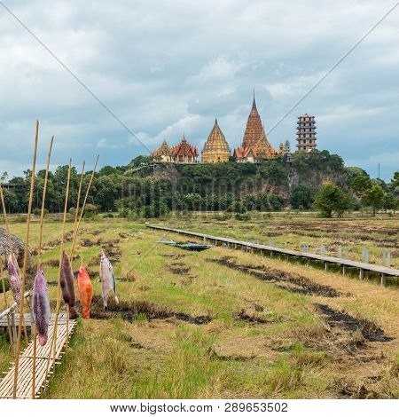 Rice Field With Wooden Boardwalk With Wat Tham Suea In The Background