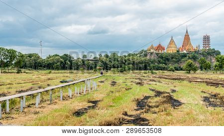Rice Field With Wooden Boardwalk With Wat Tham Suea In The Background