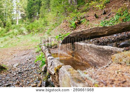 Natural raw unfiltered water flowing from wooden fountain spring at the Pontic Mountains in Northern Turkey