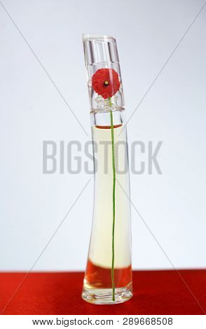Prague, Czech Republic- January 22, 2019. Perfume KENZO bottle on white background.  Kenzo Flower Perfume