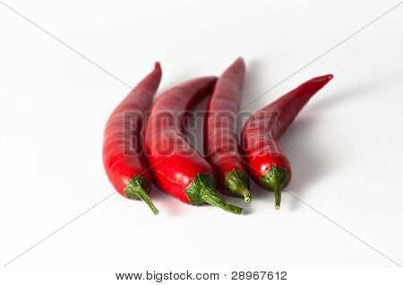 Quattro Chili Peppers con steli