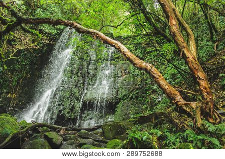 Matai Falls At The Catlins, South Island Of New Zealand