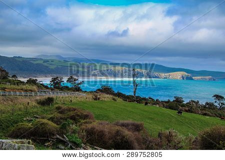 Florence Hill Lookout At The Catlins, South Island, New Zealand