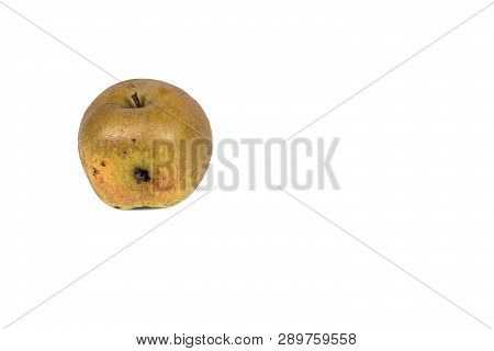 Boring Trace Of A Codling Moth Cydia Pomonella, In A Wormy Apple. On White Background. Place To Writ