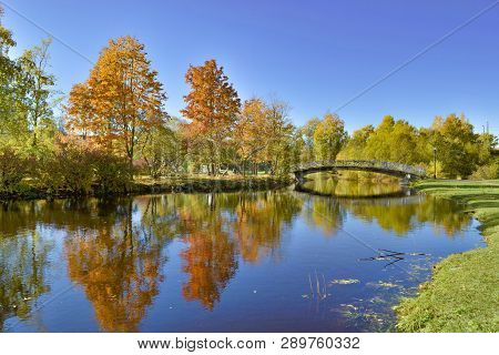 Autumn Landscape With River Bridge And Golden Trees Reflection