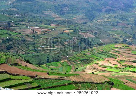 Step Cultivation In Poombarai