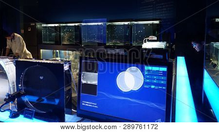 Tokyo / Japan - Sept 13 2018: Sumida Aquarium In Tokyo Town.  Aqua Lab, Observing And Breeding Jelly