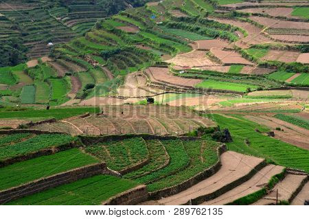 Amazing Kodaikanal Landscape
