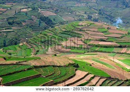 Terrace Farming Poombarai Village