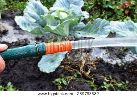 Flow Of Water Out From Pipe At Garden In Summer Work