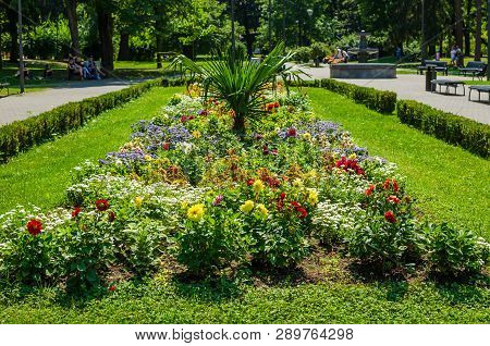 Flowers In A Public Park