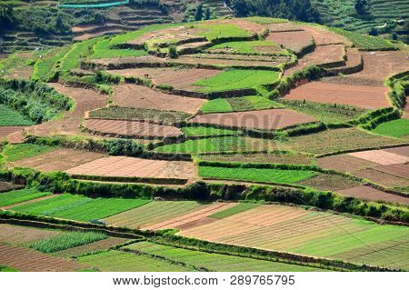 Poombarai Village And Terraced Farming In Kodaikanal